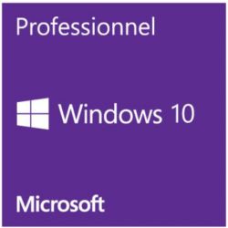 Microsoft Windows 10 Professionnel, ESD OEM