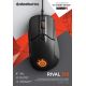 Souris SteelSeries Rival 310