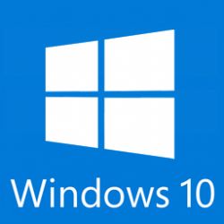 Microsoft Windows 10 famille, 1 licence - téléchargement - OEM - ESD - 32/64-bit