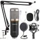 Microphone BM-800 à condensateur Gamer, Youtubeur