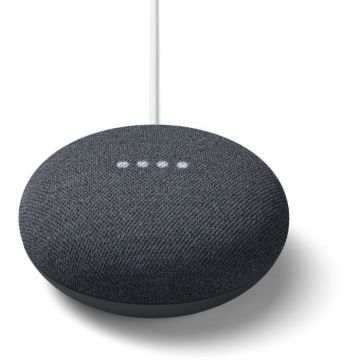 Assistant vocal Google Nest Mini Galet, charbon