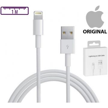 Câble Apple USB vers Lightning en 1m, original, boite