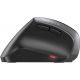 CHERRY MW 4500 Souris sans fil infrarouge 600/900/1200 dpi 6 boutons Ergonomique