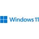 Microsoft Windows 11 Pro FPP 64bits USB (FR) - HAV-00156