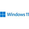 Microsoft Windows 11 Pro FPP 64bits USB (FR) - HAV-00156