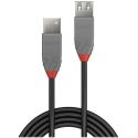 Rallonge USB 2.0 A/A M/F en 1mètre - LINDY36702