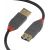 Rallonge USB 3.0 en 3m série A, débit 4.8Gb/s - LINDY 36763