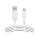 Câble micro B - USB2.0 1m blanc - BELKIN CAB005BT1MWH