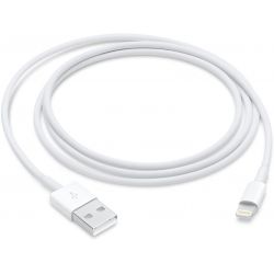 Câble Apple USB vers Lightning en 1m, boite