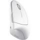 Souris ergonomique Trust Verto - sans fil - 25132