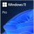 Microsoft Windows 11 Professionnel, 64-bits - ESD - Retail
