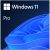 Microsoft Windows 11 Professionnel, 64-bits - ESD