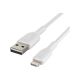 BELKIN, câble USB lighting, 15cm, blanc - CAA002bt0MWH