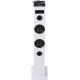 Colonne de son/Enceintes Bluetooth NGS Skycharm, blanche