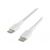 Belkin BOOST CHARGE - Câble USB - 24 pins USB-C (M) pour 24 pins USB-C (M) tressé - 1 m - blanc - CAB004BT1MWH