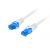Câble réseau 50cm ethernet RJ45 S/FTP Cat 6A, Gris - PCF6A-10CC-0050-S