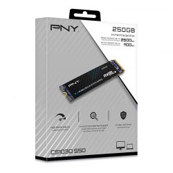 SSD 250Go NVMe PNY CS1030 - M280CS1030-250-RB