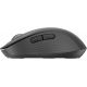 Logitech Signature M650 L for Business, bluetooth et 2.4Ghz, grise