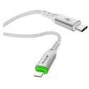 Câble Lightning USB-C RIXUS - 1m - RXUC21L