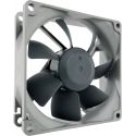 Ventilateur Noctua NF-R8 redux-1800 PWM, 8cm