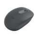 Souris LOGITECH M196 Wireless Mouse - graphite - 910-007459