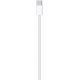 Câble Apple USB-C en 2m, original - MU2G3ZM/A
