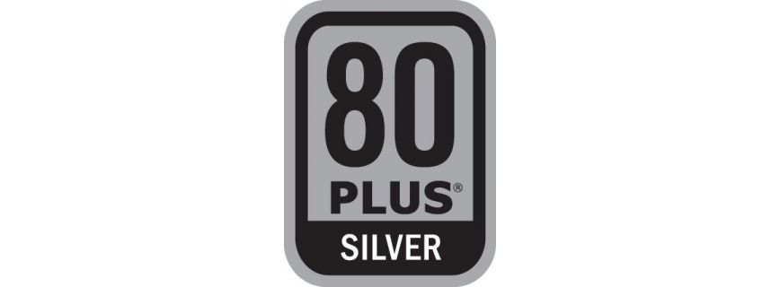 80+ Silver
