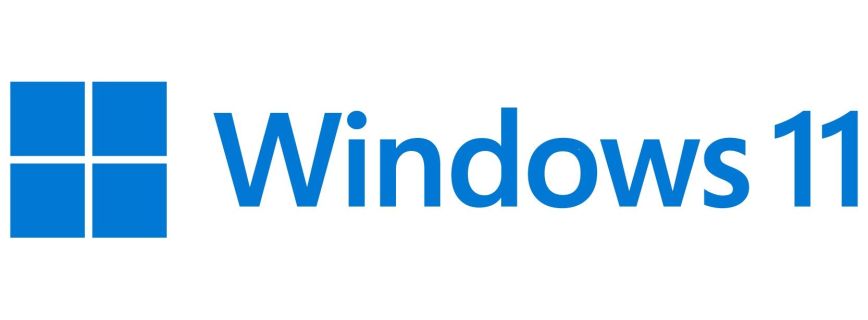 Windows 11