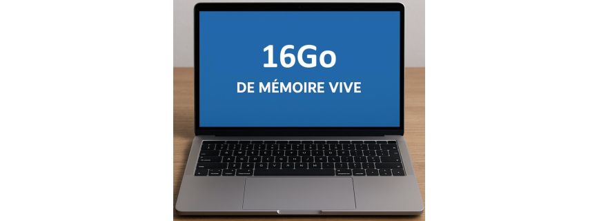 Mémoire vive: 16Go
